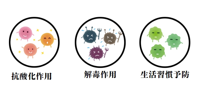 グルタチオンの３つの効果