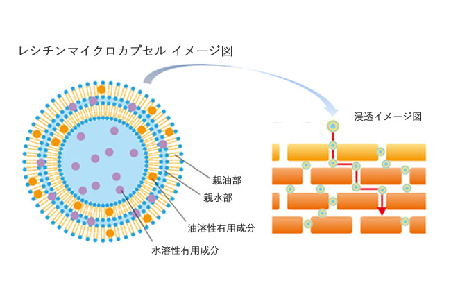 ナノカプセル製剤のテクスチャー