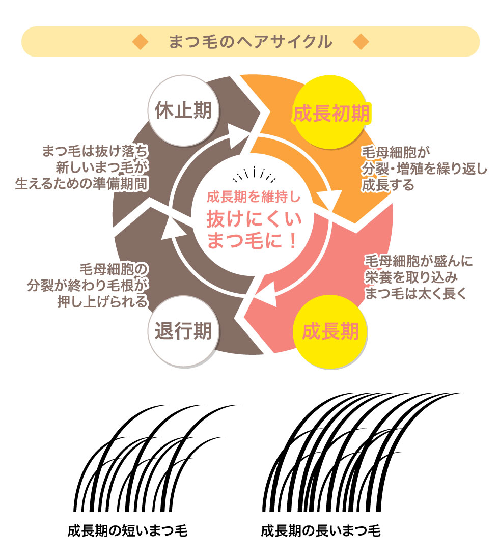 まつ毛美容液の製品イメージ